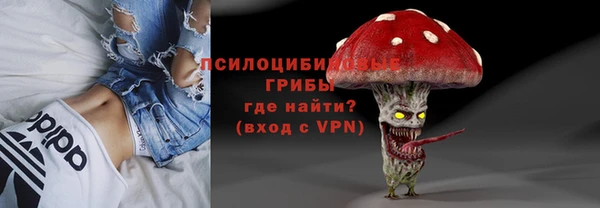 Альфа ПВП Осташков