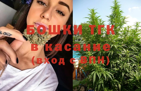 прущие грибы Семилуки
