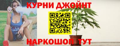 сатива Бийск